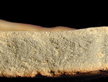 Paste shot of a North Devon gravel-free sherd.